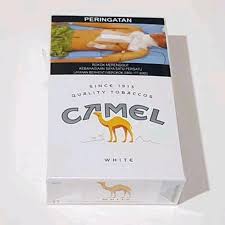 Camel
